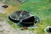 Bacterial enzymes for solid waste deposition in septic tanks and pipes in houses and buildings