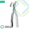 Extracting forceps American Pattern D-EFAP-001