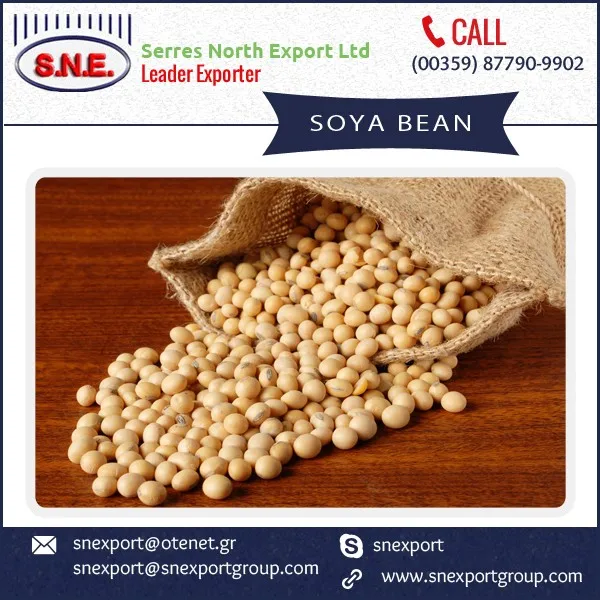 Premium Quality Export Grade Fresh Soybeans Available At Popular Rate