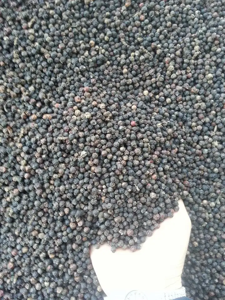 Black Pepper 500gl 550gl 570gl Vietnam Black Pepper 500gl 550gl 570gl