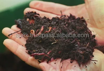 Organic fertilizer