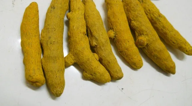 Turmeric 016.jpg