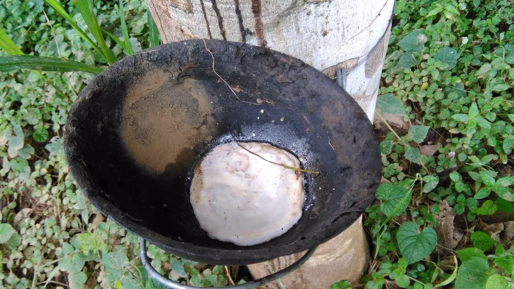 Low Price Raw Rubber Cup Lump/sheet From Cote D'ivoire Buy Price Of Raw Natural Rubber,Rubber