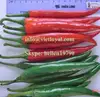 FRESH BIG CHILLI / HOT PEPPER/ RED PEPPER