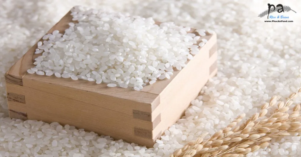 Cheapest Price Shortgrain Japonica Rice Buy Japonica Rice,Vietnam