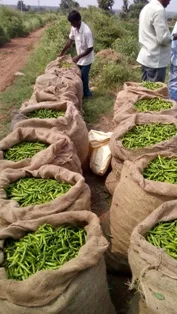 Aqua Power+_20150918_141332