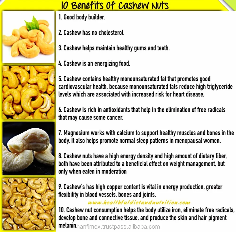 Cashew Nuts Cashew Kernels In Good Quality Skype Hanfimex10 Buy Raw
