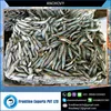 Economical Price High Nutritive Dry Anchovy Fish