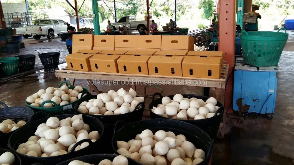 Whole Fresh Young Coconut For Sale With Good Price From Thailand Buy