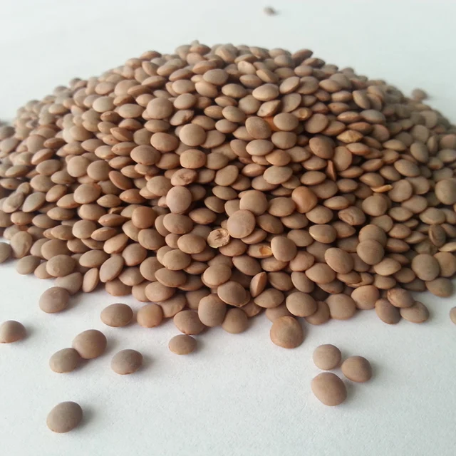best red lentils