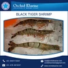 Top Grade Supplier of Natural and Fresh Black Tiger Shrimps from Reliable Manufacturer