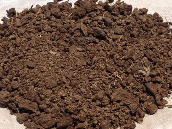 Cow Dung Compost Organic Fertilizer Vietnam Origin Buy Vietnam