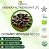 /product-detail/organic-moringa-seed-50033783337.html