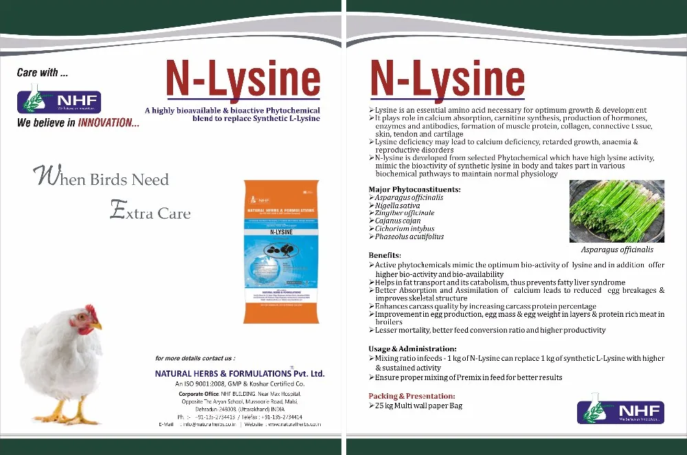 High Quality Lysine For Poultry Feed For Enhancing Growth And