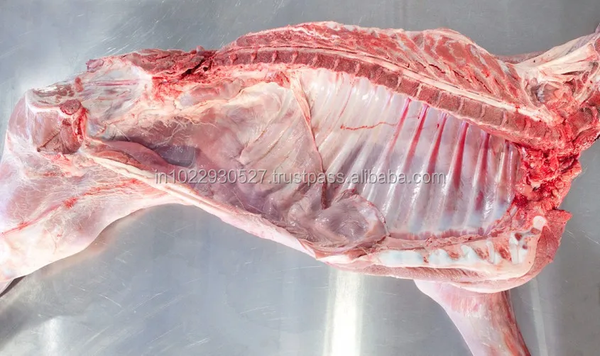 
BOBBY VEAL VEAL LEG VTL VL BV VEAL TRIMMING 