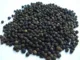 Indian Black Peppers Selling Price