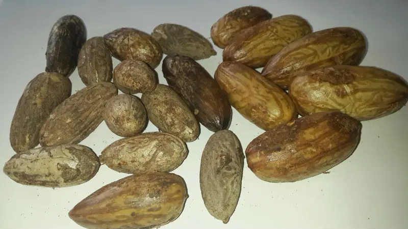 1407919506144_us-fileserver-upload-01_165068