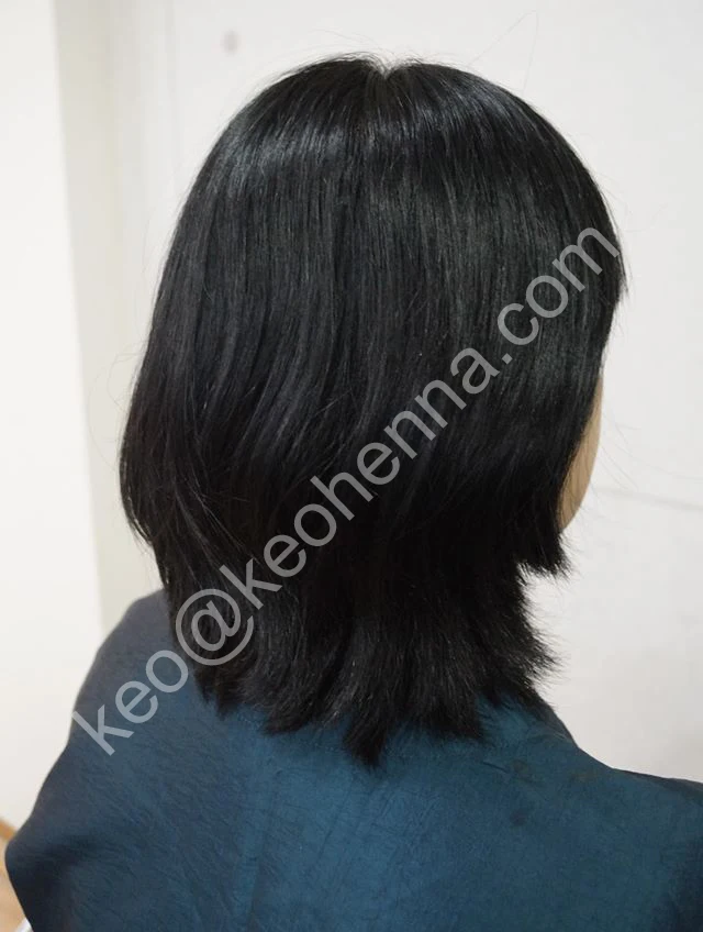  Henna  Herbal Pewarna Rambut  Hitam Buy Henna  Hitam 