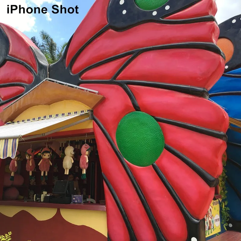 wide angle lens 2-2_.jpg
