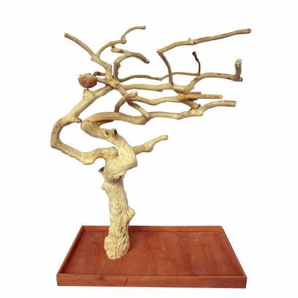 Java Wood Tree Play Stand,Javawood Bird Perch,Multi Branches Parrot