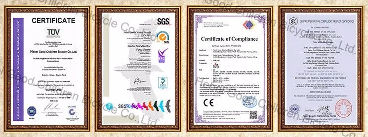 cheap kids bike .jpg