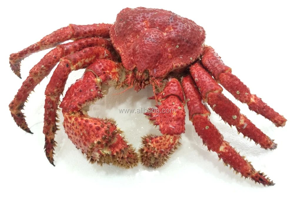 Crabe Pour La Neige Anti Uctica Crabe Pour Bebe De Mer Profonde Nous Sommes Producteurs Buy Frozen Crabe Crabe Des Neiges Bebe Roi Crabe En Haute Mer Crabe Poilu Crabe Crin Crabe Crabe