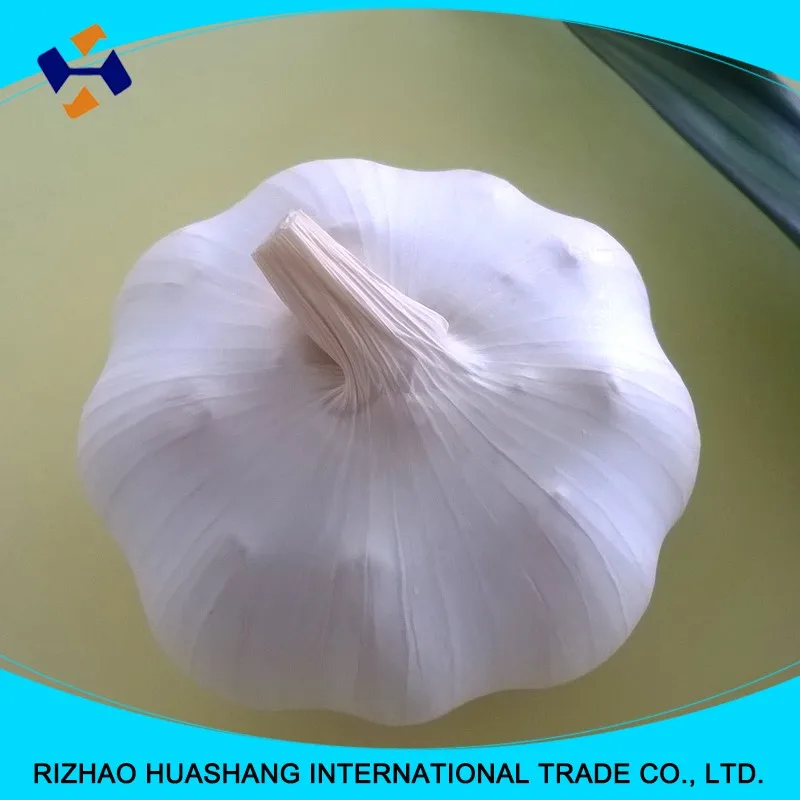 white garlic size 6.0cm