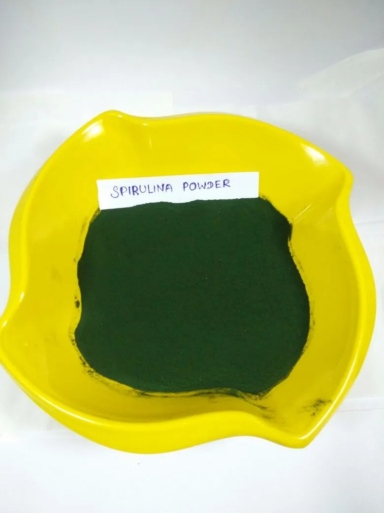 Spirulina Powder Manufacturer In India Buy Organic Spirulina Powders