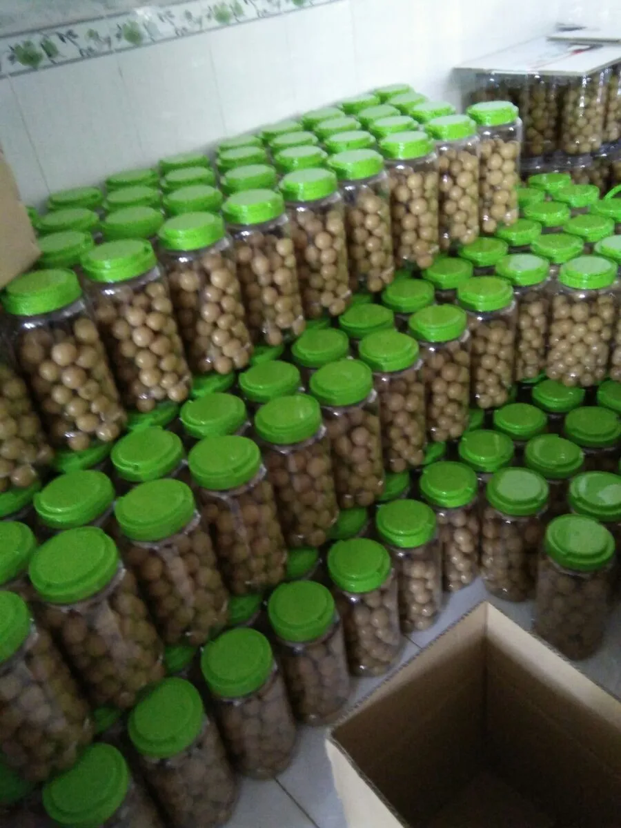Pickled Lime/ Salted Lime/ Preserved Lemon Competitive Price