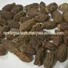 Animal Feed Dates, Dates for Animals Feed