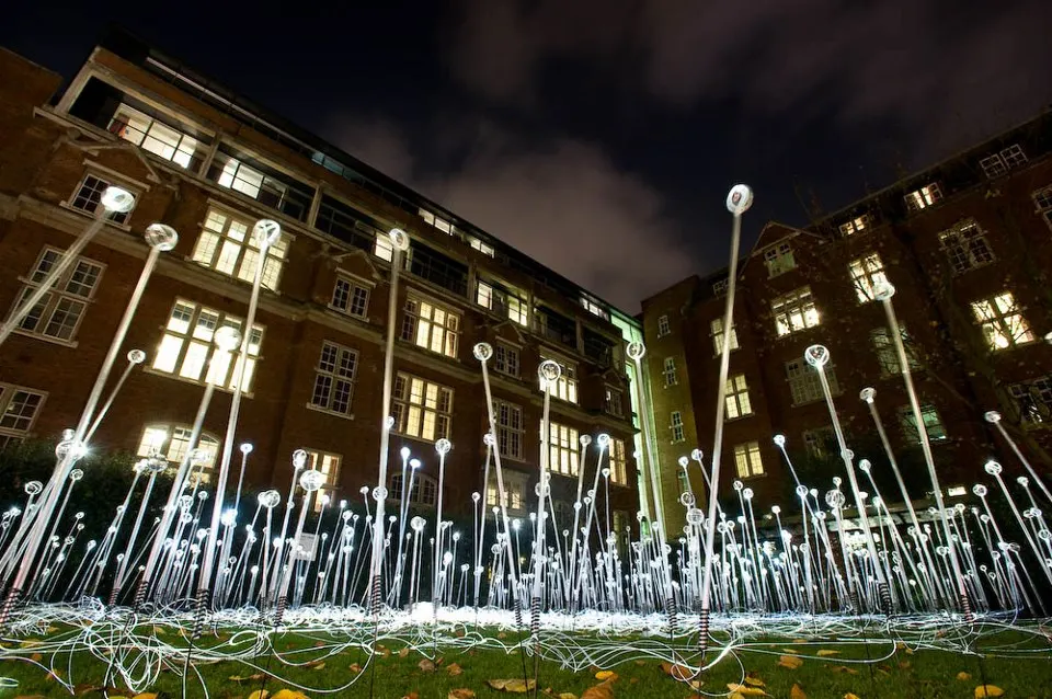 Innoplas Fibre Optic Lighting Landscape Fiber Light Innoplas Fibre Optic Lighting