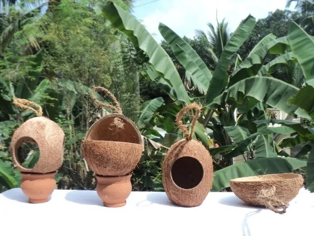 Coconut Shell Bird Feeder Buy Coconut Shell Bird Feeder Product