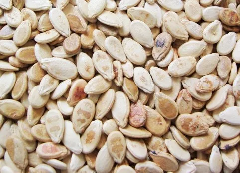 Sudan Alami Kering Biji Semangka sadir Buy Semangka Biji,Hybrid Biji Semangka,Biji Semangka Sudan Alami Kering Biji Semangka sadir Buy Semangka Biji,Hybrid Biji Semangka,Biji Semangka