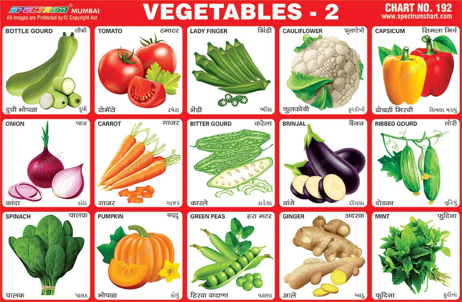 Vegetables Chart With Name