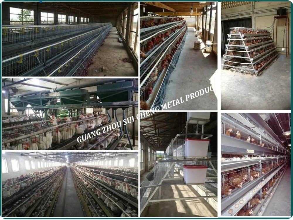 Pourtry Galvanized Broiler Cage/Rabbit Cage/Chick cage