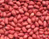 2016 HOT SELL ORGANIC PEANUTS/sales46@vdelta.com.vn
