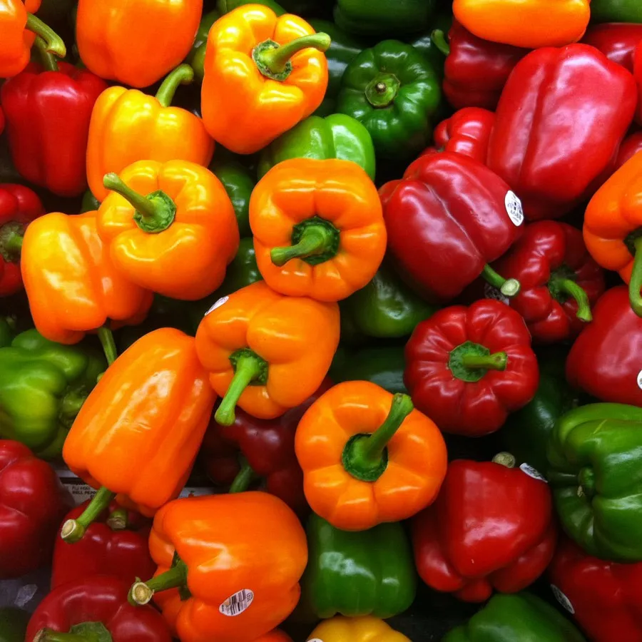 color capsicum/ bell pepper