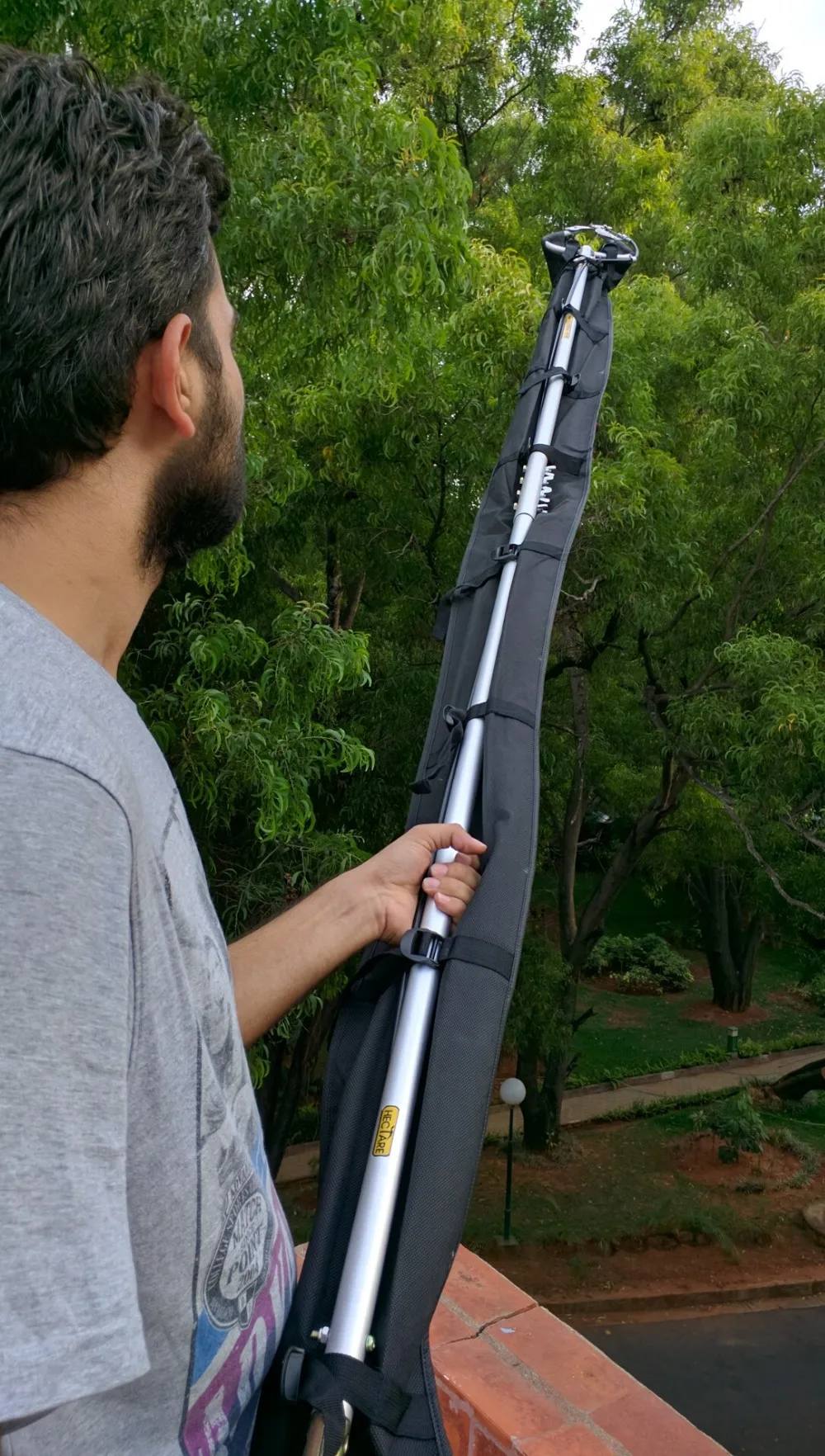 Get Mango Fruit Picker Background