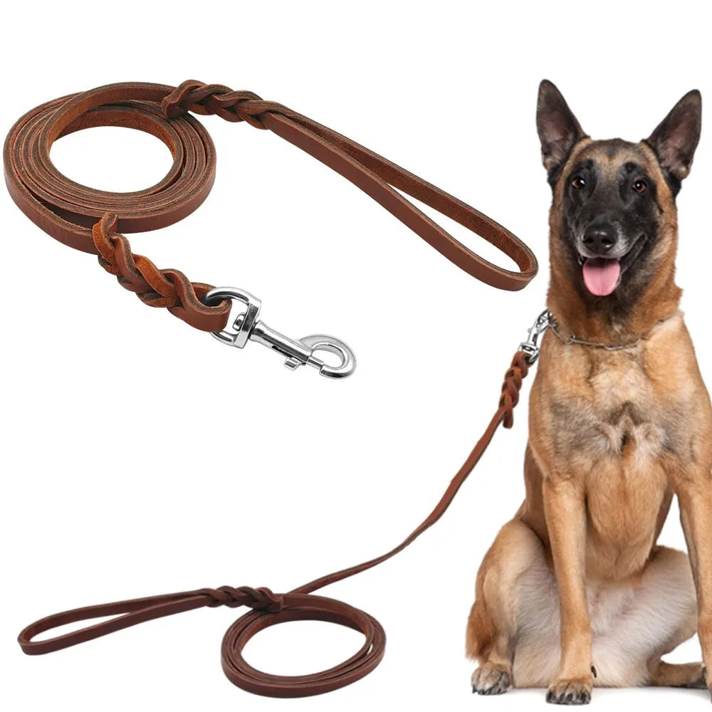 best leather leash for german shepherd