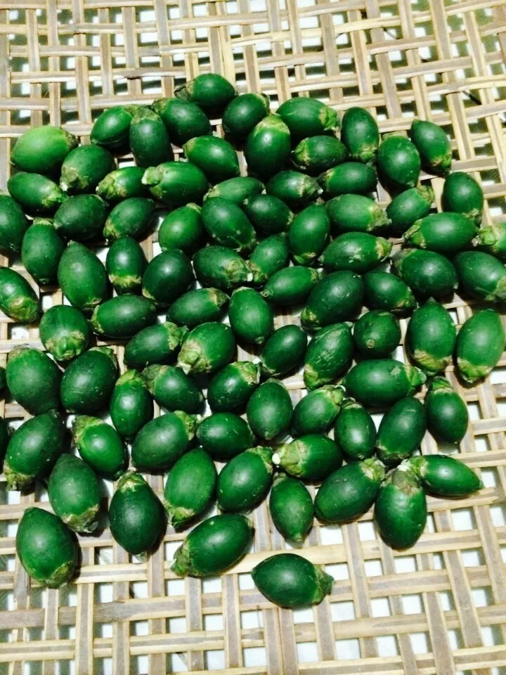 it is such an honor to be introduce about our fresh betel nuts