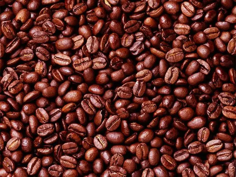 Cocoa Beans Cocoa Beans