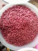 organic peanuts for sale/ sales46@vdelta.com.vn