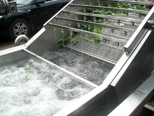 ozone fruit and vegetable washer