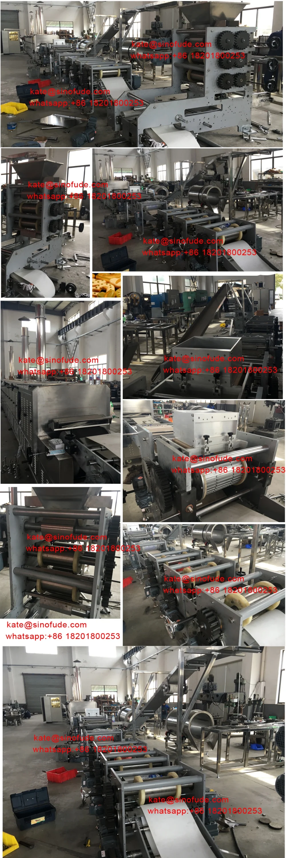 Biscuit production line information.jpg