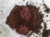 /product-detail/earthworm-compost-wormvermi-manure-earthworm-organic-fertilizer-50028610783.html