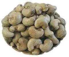 raw cashew nut in shell