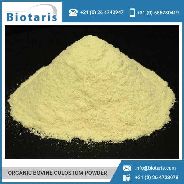 
Healthy Organic Bovine Colostrum Powder at Low Market Rate 