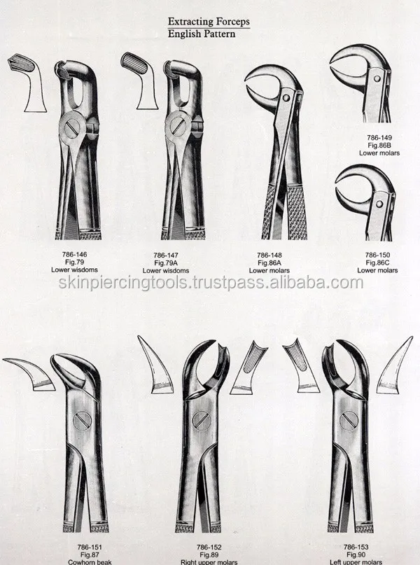 Extracting Forceps English Pattern Fig 145 Upper Roots With Serrated ...