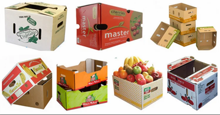 carton packaging