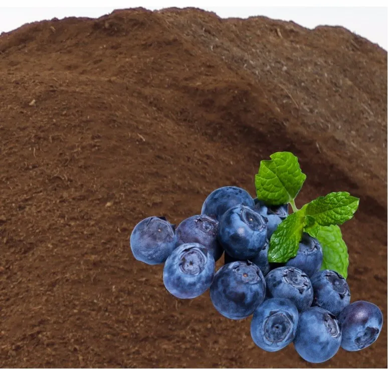 Peat Moss For Blueberry Buy Blueberry Farming Peat Moss,Blueberry
